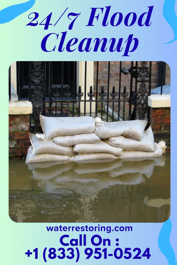 24/7 Flood Cleanup in Dillwyn, VA