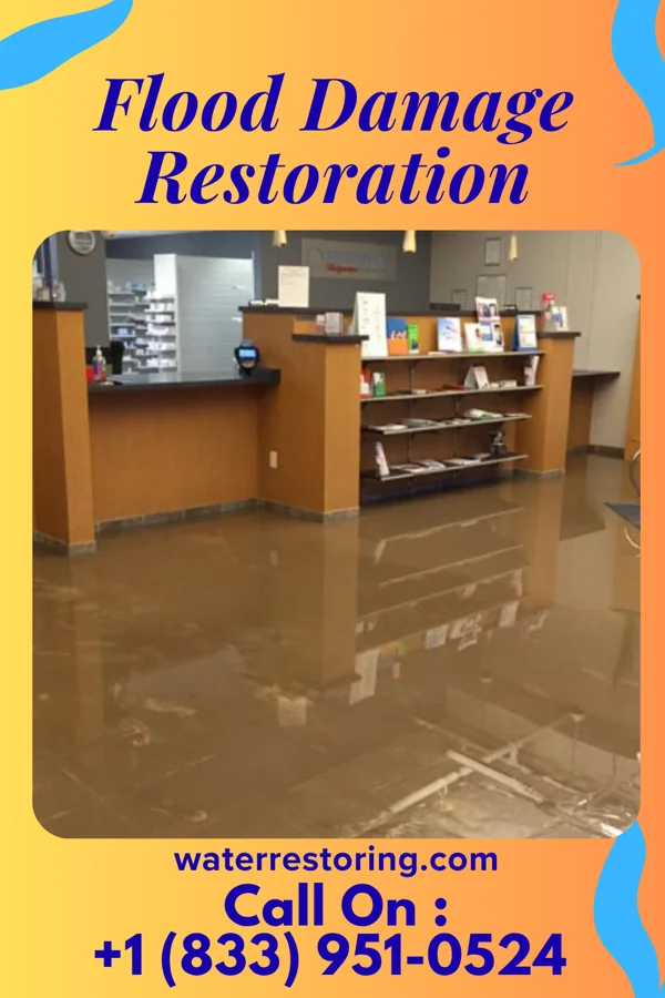 Flood Damage Restoration in Dillwyn, VA