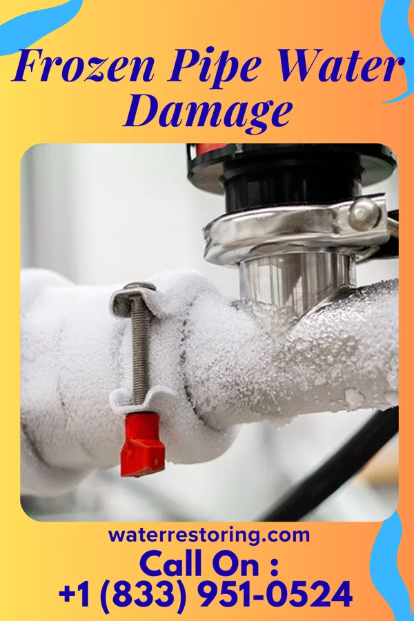 Frozen Pipe Water Damage in Dillwyn, VA