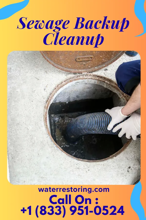 Sewage Backup Cleanup in Dillwyn, VA